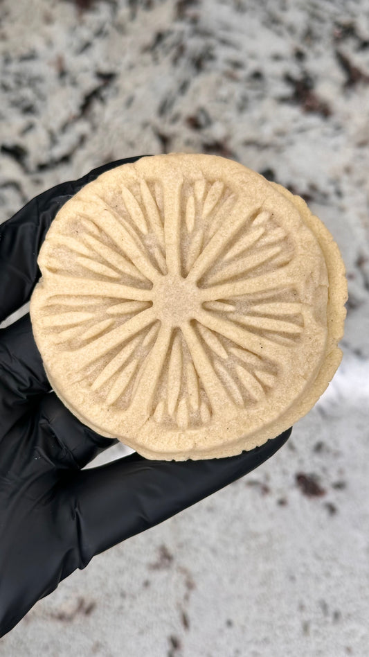 Hand holding a round cookie with a textured surface against a blurred background